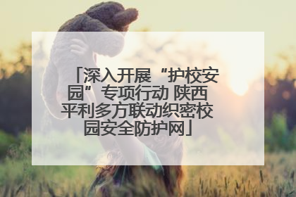 深入开展“护校安园”专项行动 陕西平利多方联动织密校园安全防护网